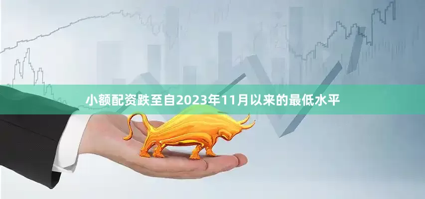 小额配资跌至自2023年11月以来的最低水平