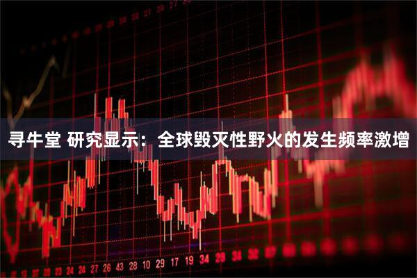 寻牛堂 研究显示：全球毁灭性野火的发生频率激增