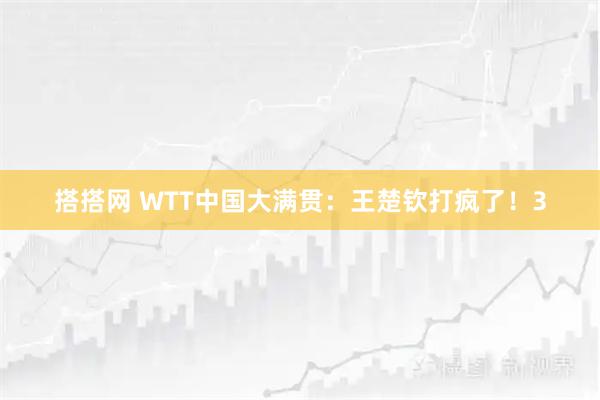 搭搭网 WTT中国大满贯：王楚钦打疯了！3