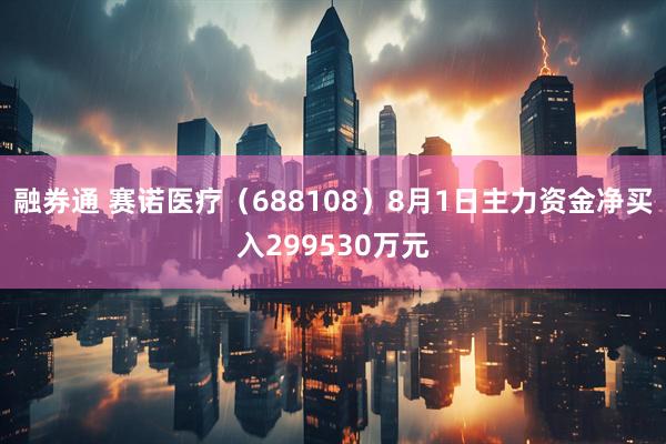 融券通 赛诺医疗(688108)8月1日主力资金净买入299530万元